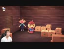 【あつまれ どうぶつの森】初めて住人が来たー!超レア魚もゲット! #7