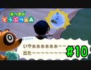 【実況】オメーだよ！【あつまれどうぶつの森】#10