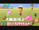 時間泥棒のマイデザイン　「あつまれどうぶつの森」　＃5