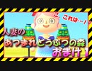 【実況】人妻のあつまれどうぶつの森おまけ１