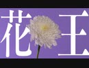 初音ミク - 花王