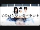 てのひらワンダーランド 踊ってみた【ヤコえるととろ】