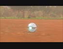 愚兄弟の愚考で挑むポケモン剣盾バトル　パート01