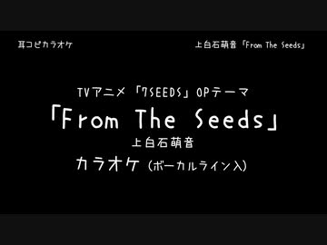 7SEEDS OP 「From The Seeds」 上白石萌音 VOガイド有【耳コピ カラオケ】