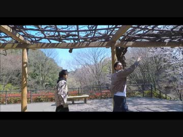 【しょまとがんそ】ポジティブ・パレード 踊り歩いてみた【オリジナル振付】