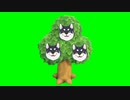 黒井しばのなる木GB