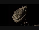 黒白 / ラップ