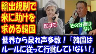 【海外の反応】 韓国が 輸出厳格化で 米国に 助けを求め 世界から 呆れ声 殺到！ 海外「韓国はルールに従って行動していない！」「日本は手を緩めるべきじゃない」