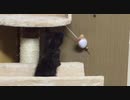 一人遊び