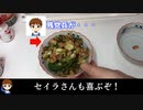 アムロ・レイの声真似で回鍋肉を料理してみた