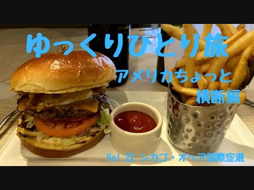 【ゆっくり】ひとり旅『アメリカちょっと横断編』 Vol.22