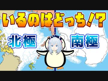 【雑学】北極と南極！ペンギンがいるのはどっち！？