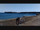 渡鹿野島から眺める的矢湾