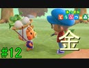 【実況】捻くれ者の無人島生活【あつまれ　どうぶつの森】１2日目