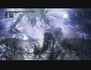 【レベル544】千景HPマイナス血晶でカンストボス攻略【Bloodborne】　08
