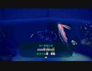 3月の魚たちを嘘偽りなくご紹介致します【あつ森Part9】