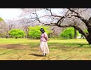 【まおぱんだ】春に一番近い街 踊ってみた【ぽっちゃり(デブ)←】