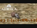 ＃１７【攻略】AFRIKA　会社のデスクにフンコロガシの写真を飾るという奇行