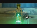 依頼を受けて、キオ・ダフナの祠の氷で遊んでみた