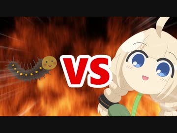 あかり草VS毛虫