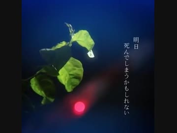 花譜　#33 命に嫌われている Prayer