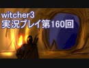探し人を求めてwitcher3実況プレイ第160回
