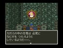 ドラゴンクエスト６ 幻の大地 SFCオリジナル 29