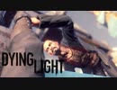 【実況】へっぽこ忍者がいく！ゾンビがはびこる都市を生き残れ！【ダイイングライト-Dying Light-】＃終