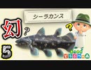 【大漁】伝説級のお魚をガチで釣りにいった結果...！！ 【あつまれどうぶつの森】　５