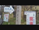 摂津峡~関大の抜け道の桜