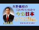 『パンデミックでr露呈したグローバリズムの問題点』矢野義昭 AJER2020.4.3(3)