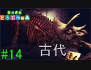 【実況】捻くれ者の無人島生活【あつまれ　どうぶつの森】１４日目