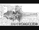 ゆっくり達の恐竜解説＋　第十三回：ブラキオサウルス