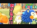 【あつまれ どうぶつの森】お前のそれ、刺さるからああッ！＃12