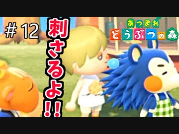 【あつまれ どうぶつの森】お前のそれ、刺さるからああッ！＃12