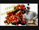 【Pandaro】アカリがやってきたぞっ【パンダが踊ってみたぞっ】