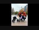 遠藤正明「God knows...」