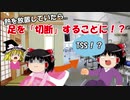 ゆっくり感染症奇譚#2 「毒素性ショック症候群」