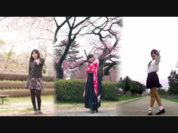 【しょこのんみー】桜ノ雨 【踊ってみた】