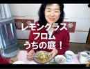 のまさんち「シマいリスの朝ごはん♪ スリランカ カレー！風邪を吹っ飛ばせ」