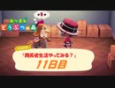 【N.Sw】" あつまれ どうぶつの森 " 開拓者生活やってみる？　11日目　【生放送】