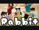 【エイプリルフール】Rabbit【踊ってみた】