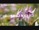 【初音ミク】花の名前はどれもきれい　〜 What a wonderful name for a flower 〜【オリジナル】