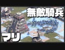 【AOE2DE】最強のファリムバ騎兵で敵陣を蹂躙する【マリ】