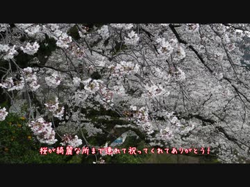旅行ロイド　山北・沼津編①【重音テト誕生祭2020】
