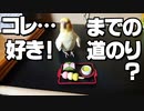 ビビりなインコがオモチャに慣れるまでの様子（？）