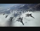 【ACE COMBAT 7】#11 複座機限定 二人はACES!  エースコンバット7 【ゆっくり実況】