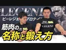 【筋肉の名前を何個知ってる？】キンニクイズ！（前半）【ビーレジェンド チャンネル】