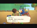 どうぶつの森やった時の25