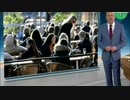 欧米各国が都市封鎖しているのに...スウェーデンは普通の生活をしている...嫉妬？